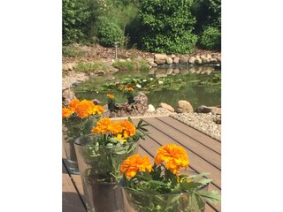 Appartamento per vacanze Eckernförde Registrazione all'aperto 6