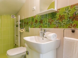 Villa Potpićan Caratteristiche 25