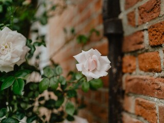 Apartamento de vacaciones Katharinenheerd Entorno 24