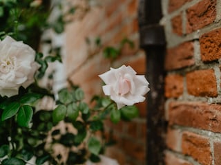 Vakantieappartement Katharinenheerd Omgeving 24