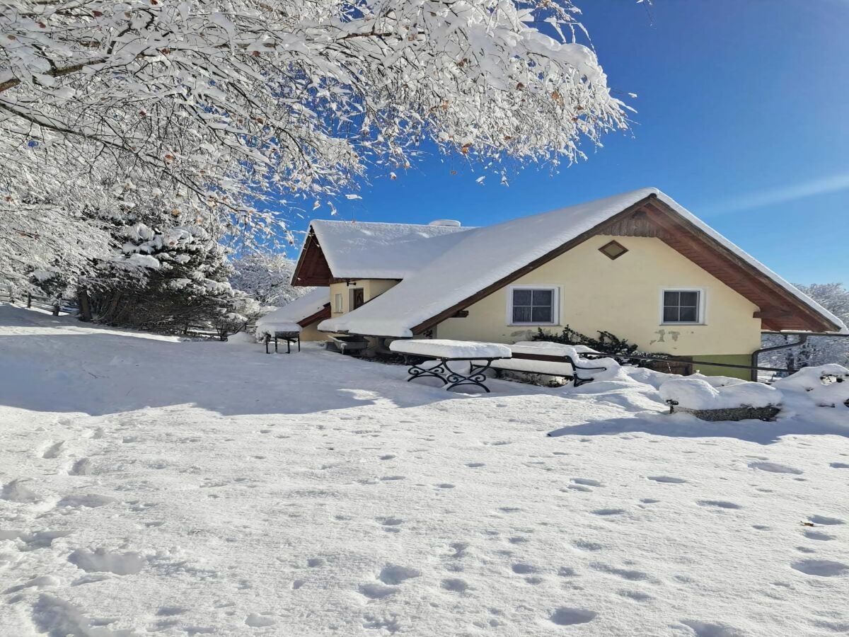 Ferienhaus St. Margarethen Außenaufnahme 1