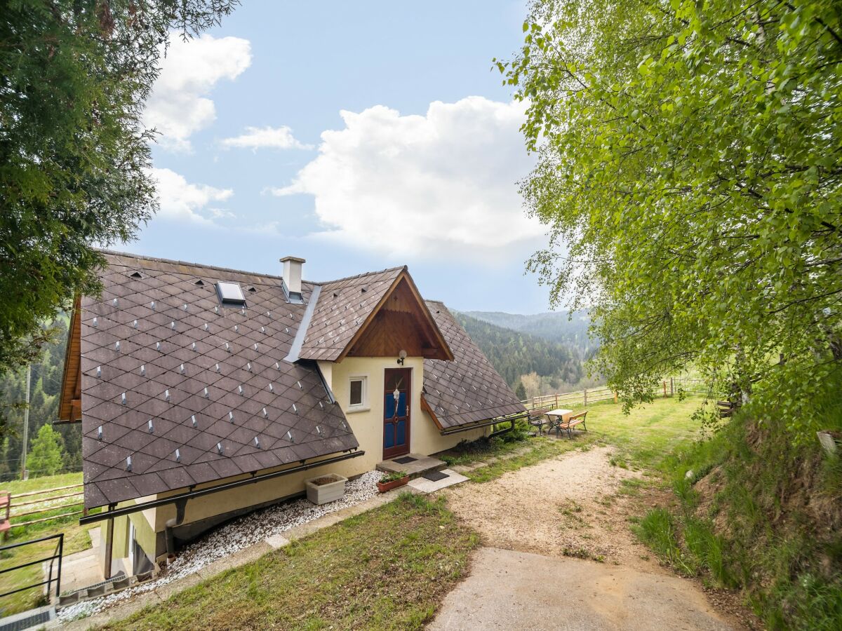 Ferienhaus St. Margarethen Außenaufnahme 8