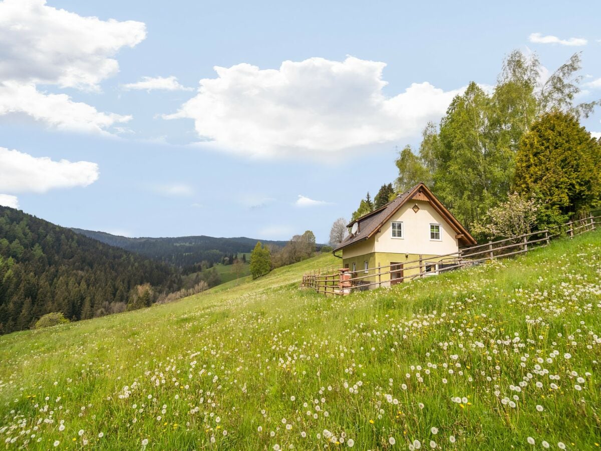 Ferienhaus St. Margarethen Außenaufnahme 1