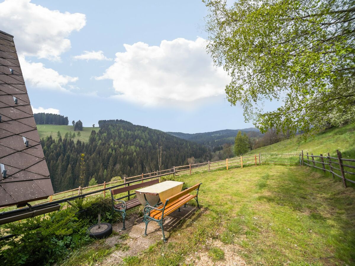 Ferienhaus St. Margarethen Außenaufnahme 4