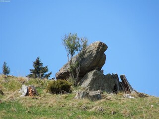 Vakantiehuis St. Margarethen Omgeving 38