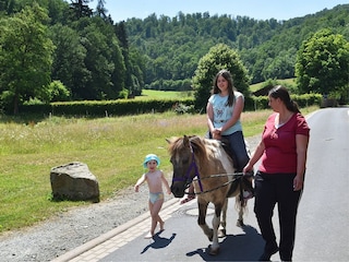 Apartment Frankenau  35