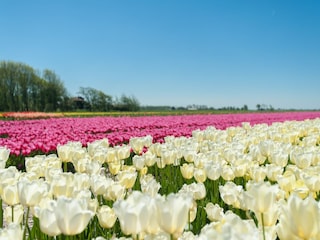 Ferienhaus 't Zand Umgebung 25