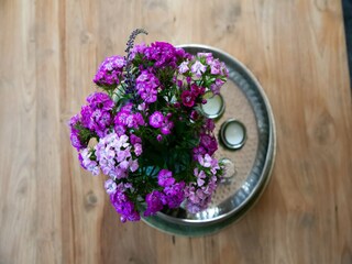 Ferienhaus 't Zand  31