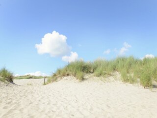 Holiday house 't Zand Environment 33