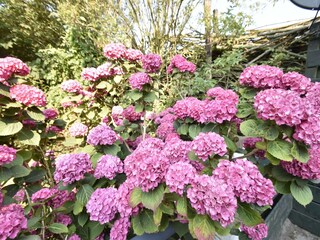 Maison de vacances 't Zand  34