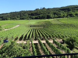 Aussicht vom Balkon