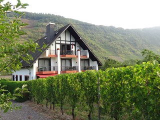 Ansicht aus den Weinbergen