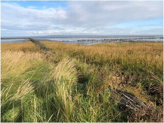 Nordsee Dornumersiel