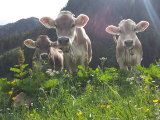 Wandern in Gerlos