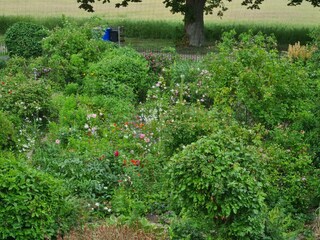 Ferienhaus Dersentin Außenaufnahme 9