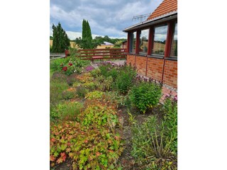 Ferienhaus Dersentin Außenaufnahme 11