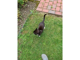 Ferienhaus Dersentin Außenaufnahme 13