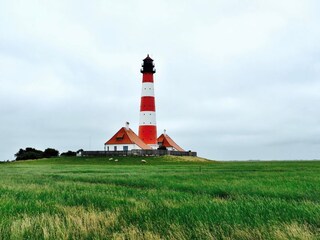 Appartamento per vacanze Tetenbüll Ambiente 12