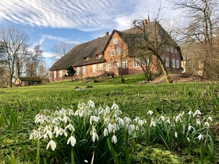 Appartamento per vacanze Tetenbüll Registrazione all'aperto 2