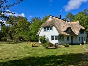 Ferienwohnung "Dünentraum" - Zingst - image1