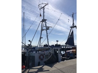 Die Godewind
