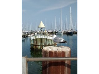 Hafen