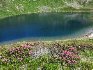 Bergsee