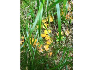 Casa per le vacanze Mariapfarr Ambiente 26