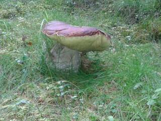 Casa per le vacanze Mariapfarr Ambiente 27