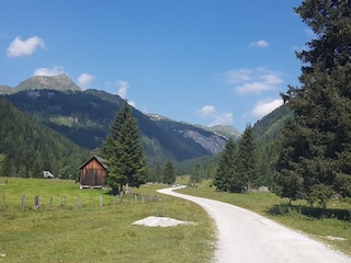 Wandern im Weisspriachtal