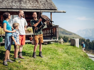 Bird of prey show in Rauris | copyright TVB Rauris