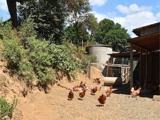 Casa de campo Frankenau Grabación al aire libre 1
