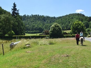 Type de propriété : Ferme Frankenau Environnement 29