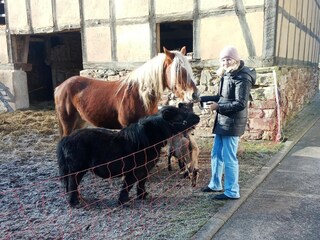 Boerderij Frankenau  39