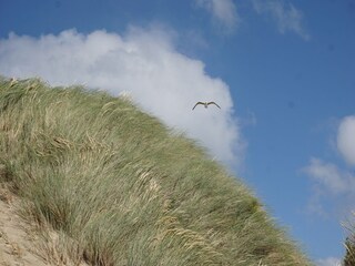 Vakantiehuis Wissenkerke  39