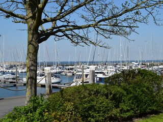 Casa per le vacanze Wissenkerke Registrazione all'aperto 6