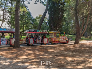 Casa per le vacanze Porec Ambiente 32