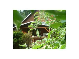 Pension Rathmannsdorf Environment 6