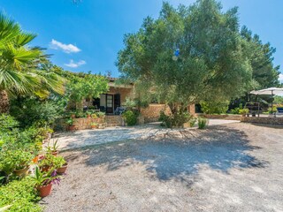 Villa Manacor Enregistrement extérieur 17