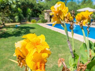 Villa Manacor Enregistrement extérieur 2