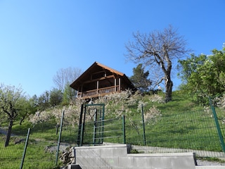 Blick vom Parkplatz auf unser Blockhaus