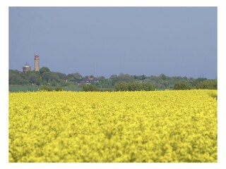 Appartamento per vacanze Glowe Ambiente 32