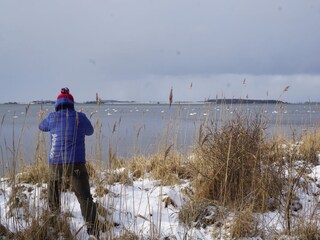 Apartamento de vacaciones Glowe Entorno 29