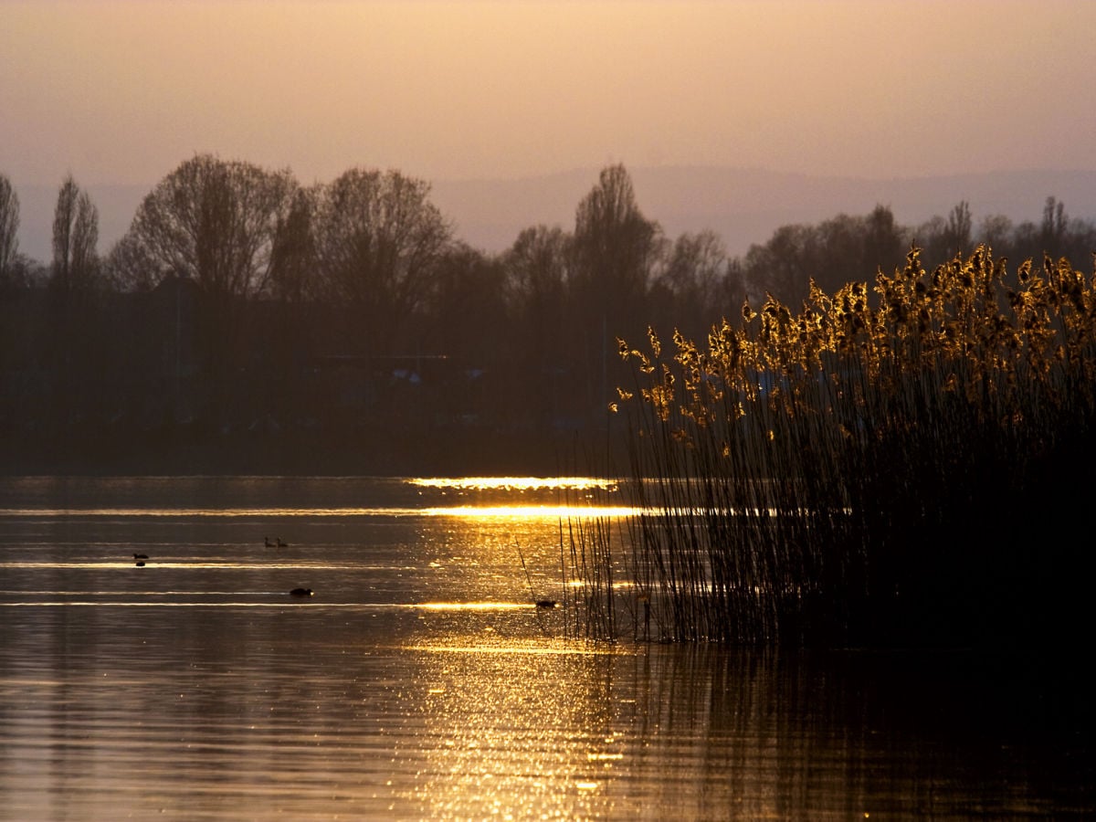 Bodensee - Radolfzeller See