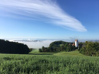 Herbststimmung Rorgenwies
