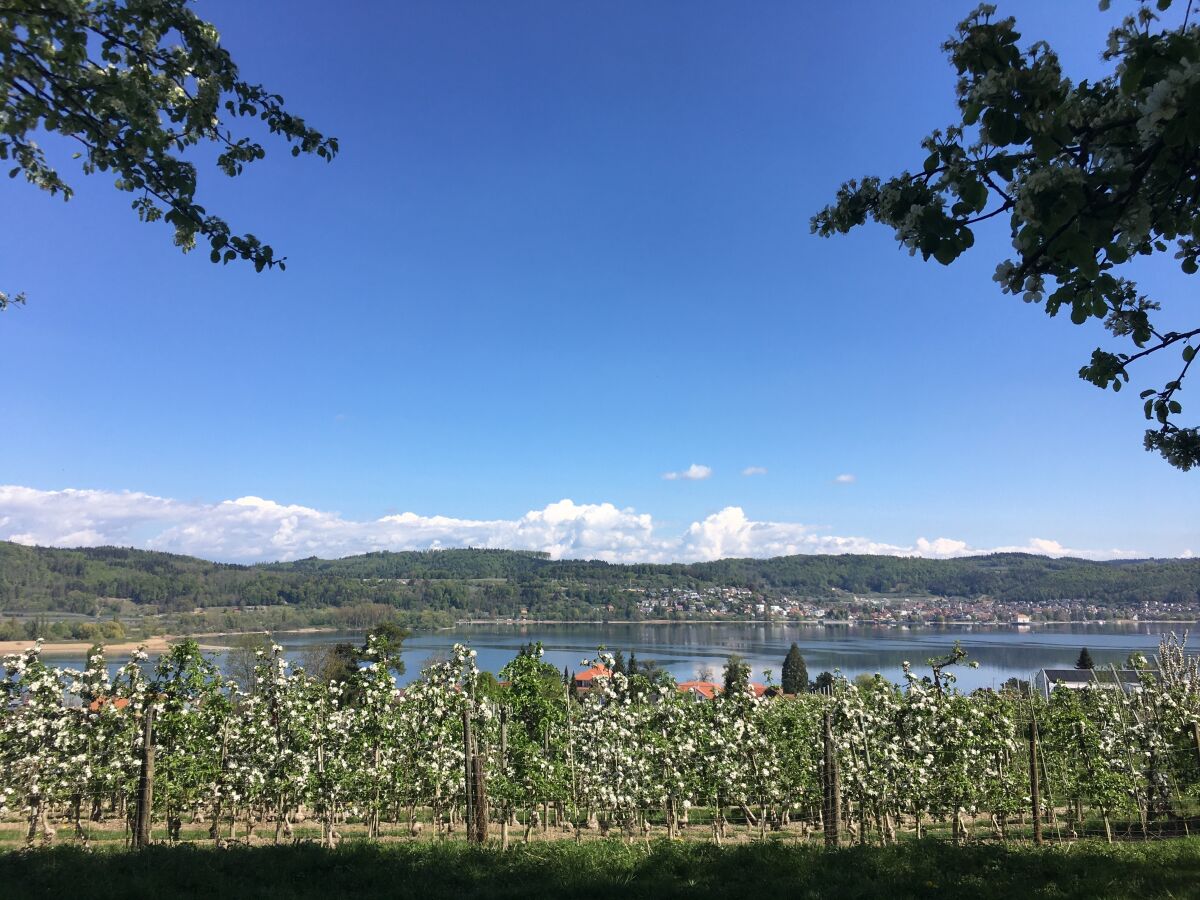 Panoramaweg mit Blick auf Ludwigshafen