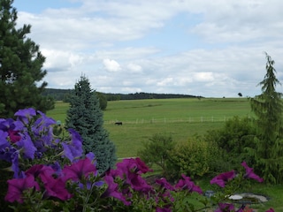 Schöne Aussicht Rückseite