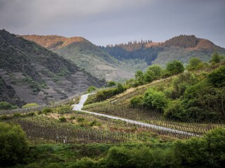 Vakantiehuis Cochem Omgeving 18