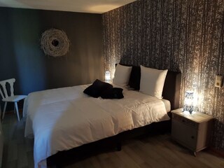 Casa per le vacanze Cochem Caratteristiche 12