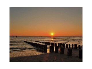 Holiday apartment Serooskerke Environment 18